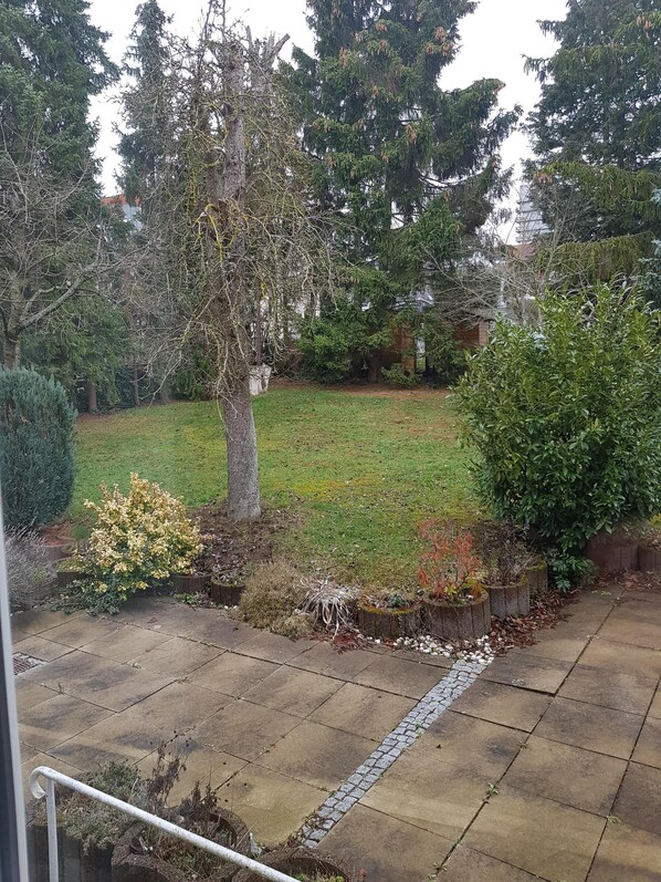 Stroll through a serene garden oasis with lush plants and trees, surrounded by a well-manicured lawn and paved walkway.