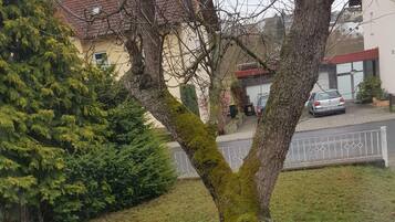 Vista desde la propiedad