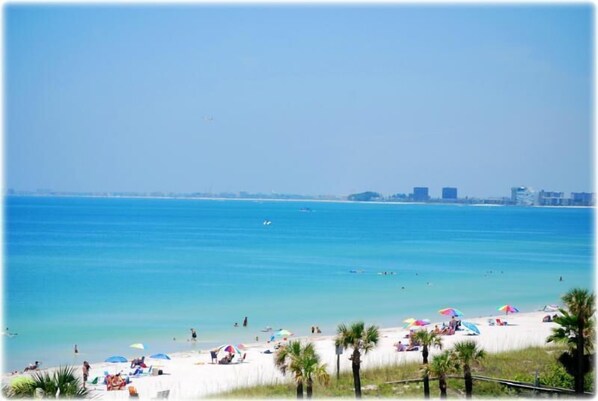 A beach with people, umbrellas, and palm trees.