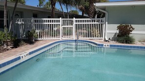 Outdoor pool - Your dog is welcome in paradise  (St Pete Beach)