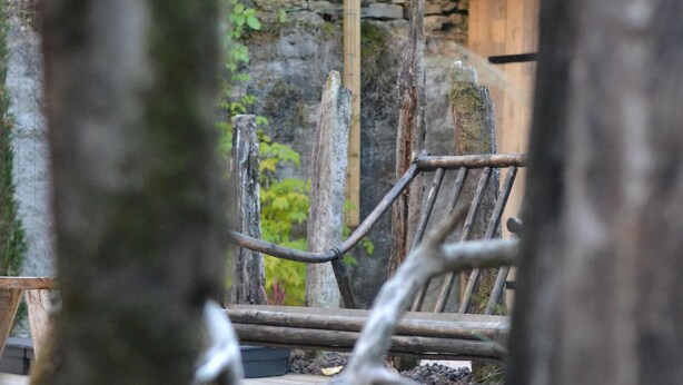 Eine rustikale Holzbank in einem Garten mit einer Steinmauer und einer Holzhütte im Hintergrund.