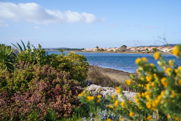 Tæt på stranden