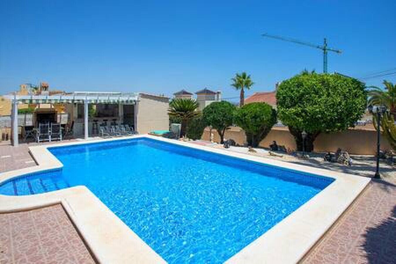 A rectangular swimming pool with a tiled edge, surrounded by a paved deck. There are small, neatly trimmed bushes and a palm tree in the background.