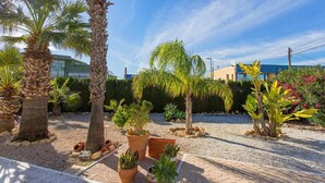 Un área exterior ajardinada con palmeras, plantas en macetas y un sendero de grava.