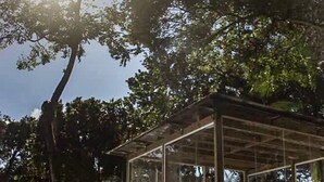 Ein gläserner Pavillon mit Holzrahmen, umgeben von Bäumen und einem Kiesweg.