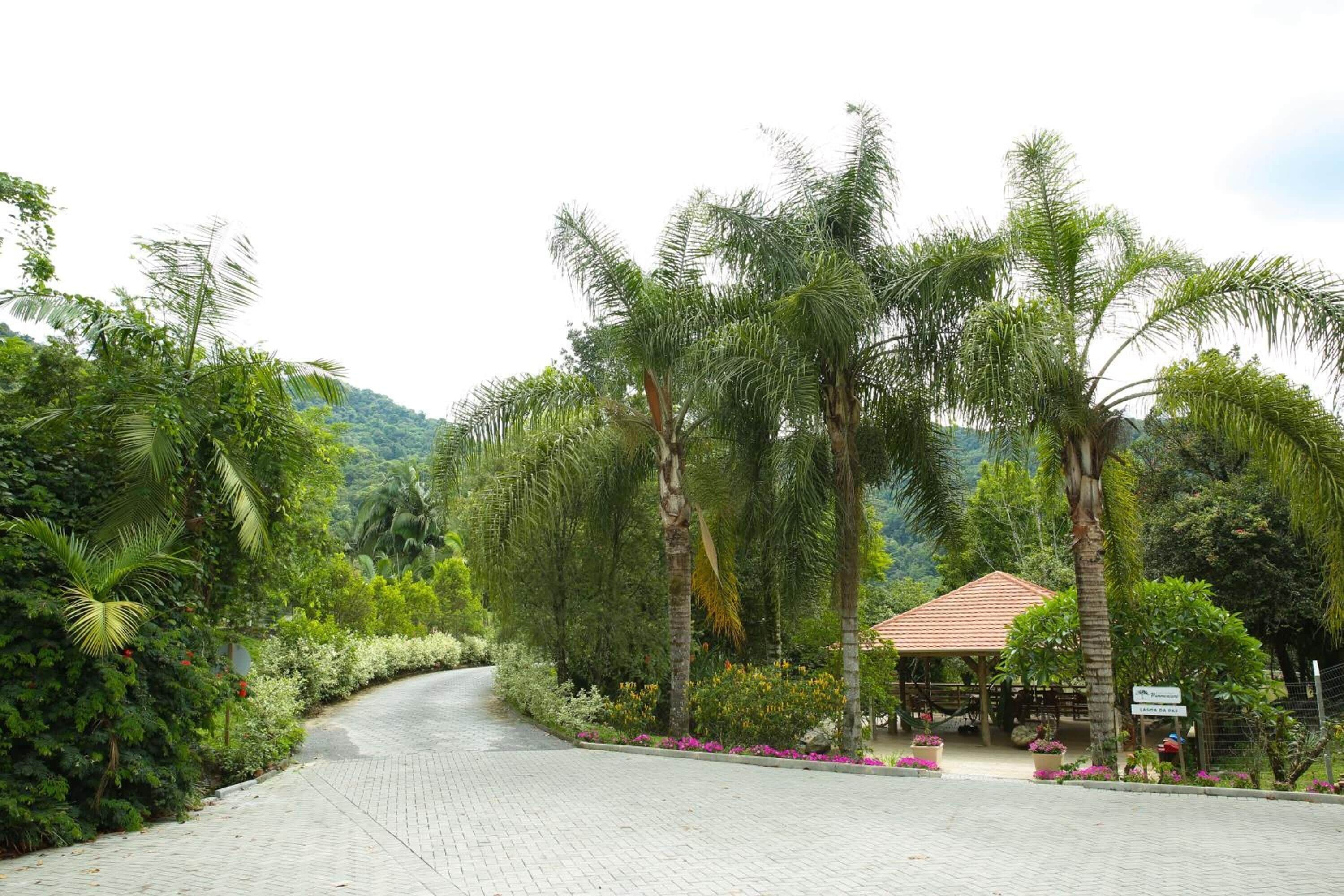 Área da propriedade