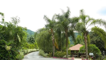 Área da propriedade