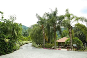 Área da propriedade