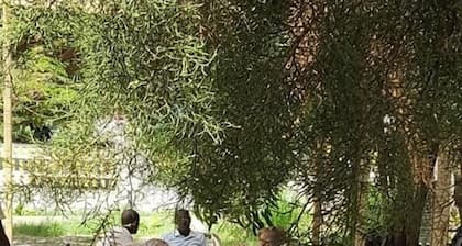 Omo valley gate
