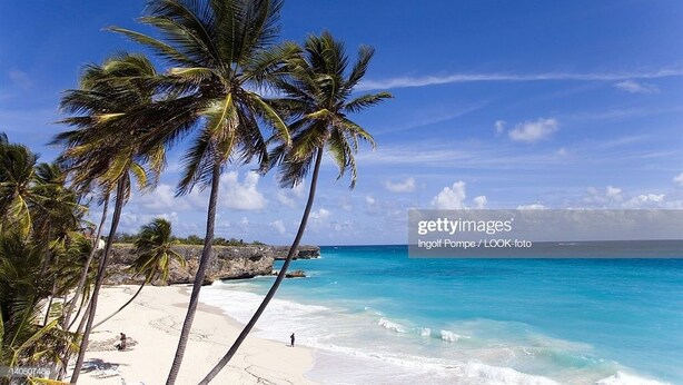 A beach with white sand, clear turquoise water, and palm trees. - Hill Rise Retreat One (Harrow Park)
