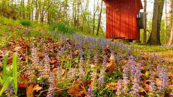 Jardines del alojamiento