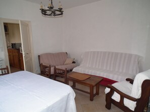 TV, fireplace, books - Gite de Chassigny, house with private land of 1000m2 (Avallon)