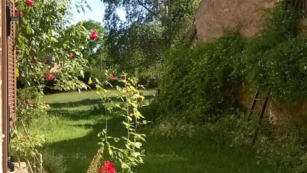 Ein Garten mit einer Ziegelmauer, einer Holzpergola und einem großen Baum.
