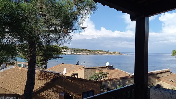 A coastal view with buildings, a tree, and a clear sky. - Between CALVI and ILE ROUSSE  (Lumio)