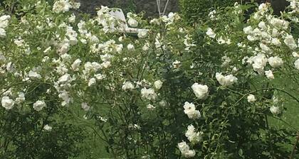 DUINGT, vanha Bergerie, laadukas peruskorjaus, 100 metrin päässä j��rvestä.