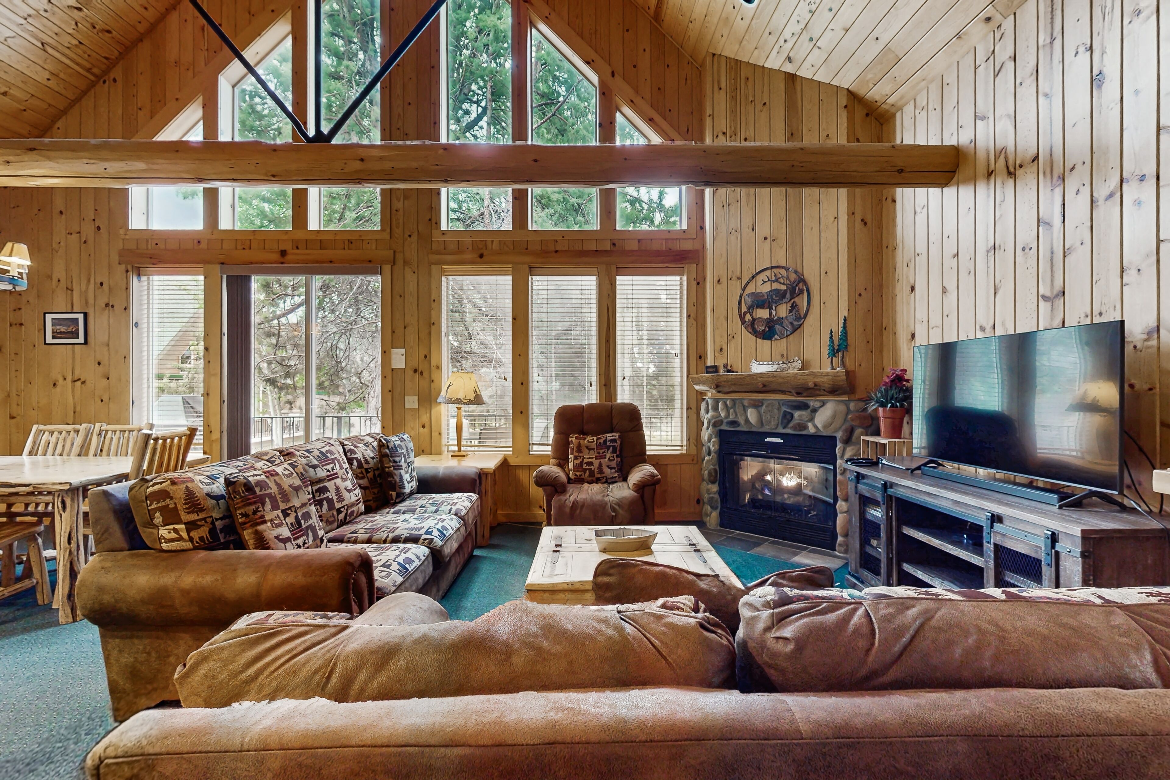 TV, fireplace, DVD player, books