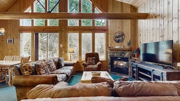 TV, fireplace, DVD player, books