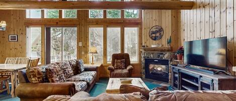 Télévision, cheminée, lecteur de DVD, livres