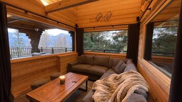 Télévision, cheminée, jeux vidéo, lecteur de DVD