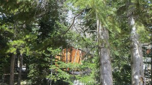 A forested area with a wooden structure partially obscured by trees. - Mountain Cabin boasting several outdoor amenities for all seasons (Centennial)