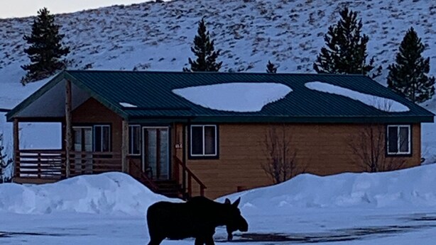 A cabin with a snow-covered roof, a wooden deck, and a snowbank in front. - Mountain Cabin boasting several outdoor amenities for all seasons (Centennial)