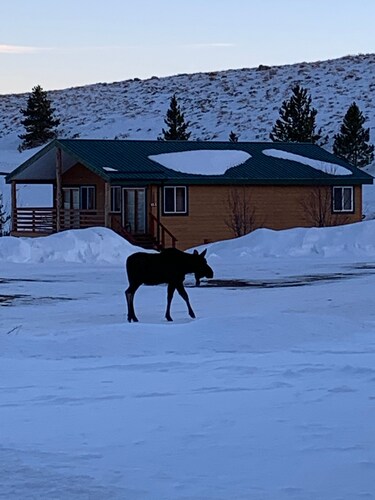 Mountain Cabin tarjoaa useita ulkouima-altaita kaikkina vuodenaikoina