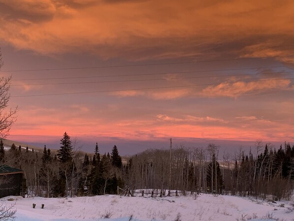 A snowy landscape with a forest and a distant view of a mountain range.