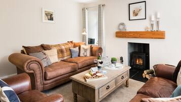 Smart TV, fireplace, books, stereo