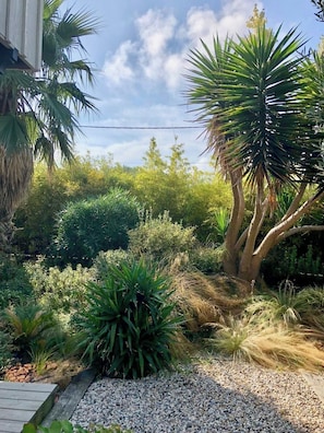 Un jardín con varias plantas y una terraza de madera.