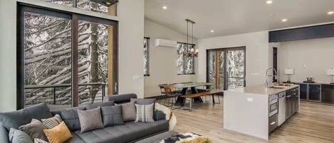 Televisión, chimenea, videojuegos, reproductor de DVD