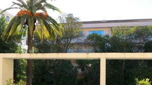 Une piscine dotée d’une terrasse en bois, entourée de verdure et agrémentée d’un palmier.
