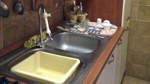 A kitchen with a sink, cabinets, and various kitchen utensils. - MOUNTAIN HOUSE PESCASSEROLI (pescasseroli)