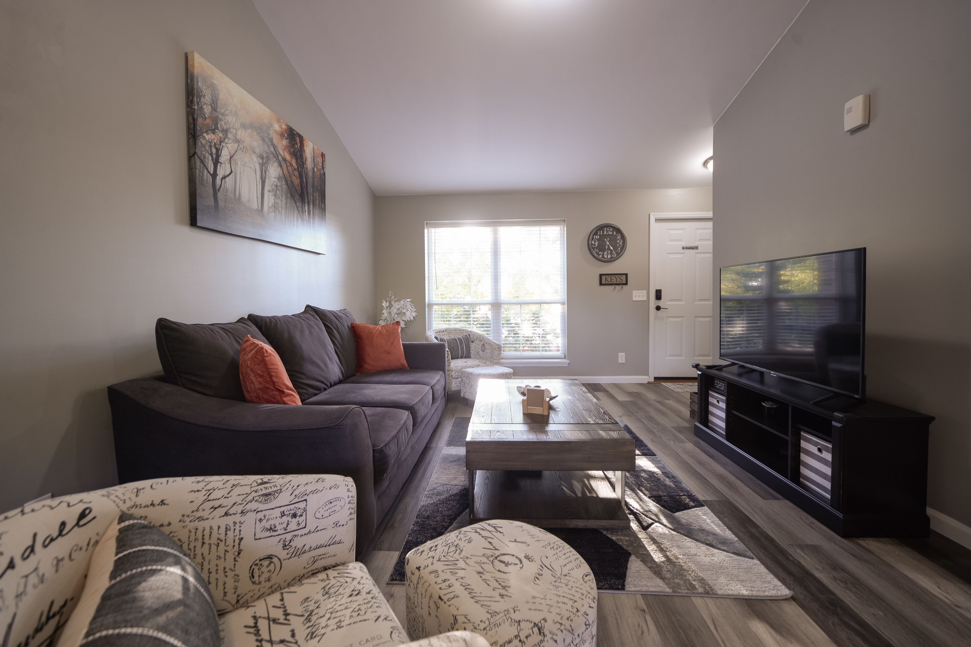 Televisión y reproductor de DVD 