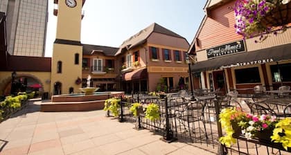 Lovely condo fully remodeled just minutes from West Port Plaza