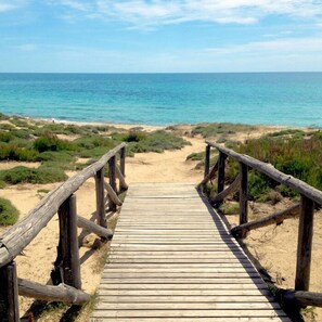 Playa en los alrededores y camastros
