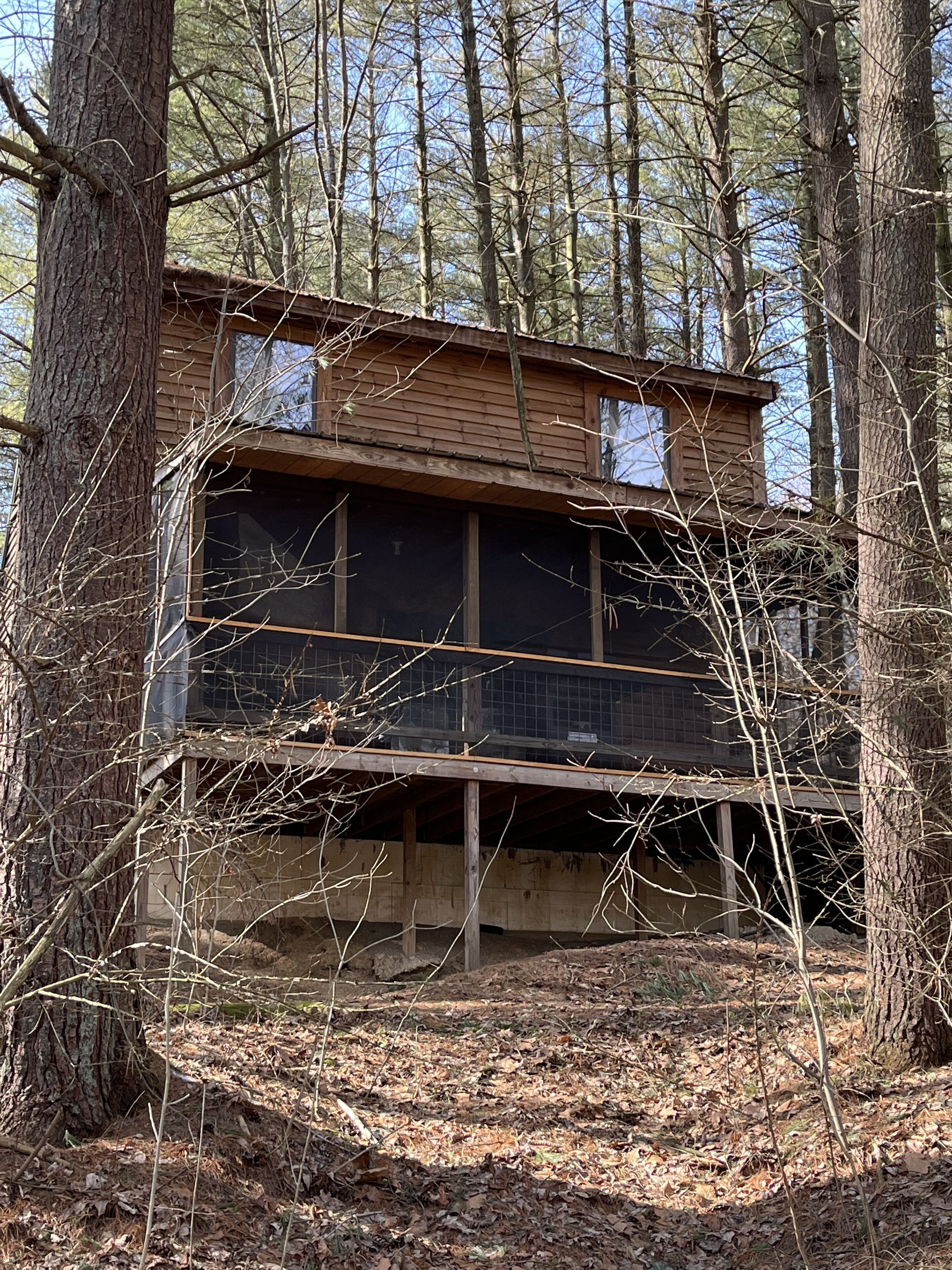 Eine rustikale Holzhütte, umgeben von Bäumen.