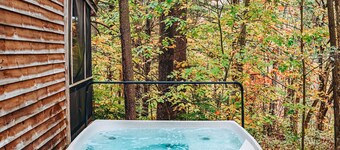 Evergreen Hideaway er en hytte beliggende under høje fyrretræer.