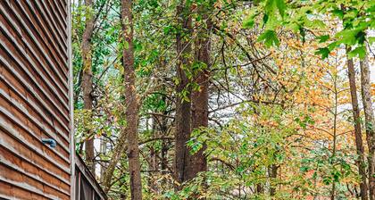 Evergreen Hideaway on mökki, joka sijaitsee korkeiden mäntyjen alla.