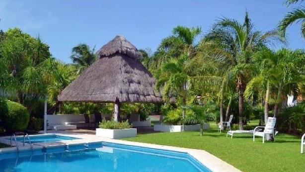 Una piscina con una estructura de techo de paja, rodeada de palmeras y follaje.