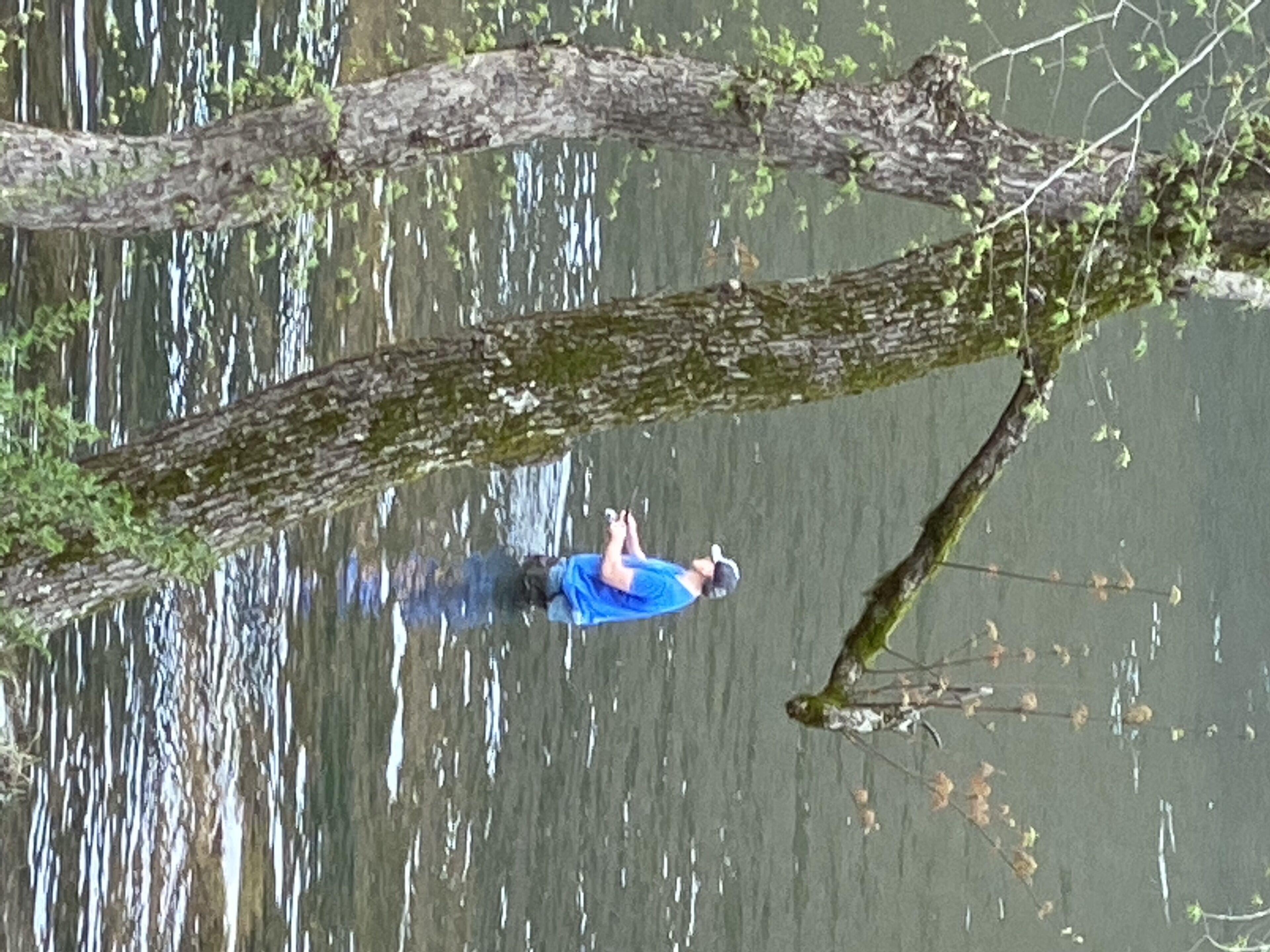 Siniseen paitaan pukeutunut henkilö seisoo puun oksalla veden yläpuolella.
