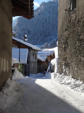 Property grounds - Spacious and comfortable chalet for 13 people - connected to Arcs 2000 in 20 minutes (Villaroger)
