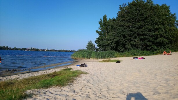 A sandy beach with a clear blue sky, a large tree, and a calm body of water.