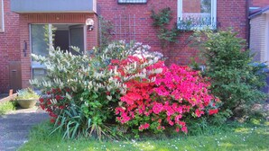 A brick building with a window and a door, surrounded by a garden with pink and white flowers.