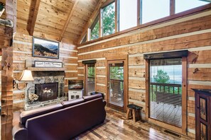 TV, fireplace, DVD player, video library