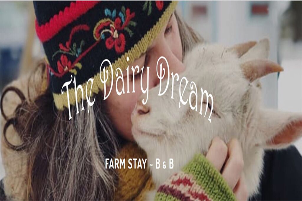 The Dairy Dream Farm Stay ~  It's Udderly Perfect!