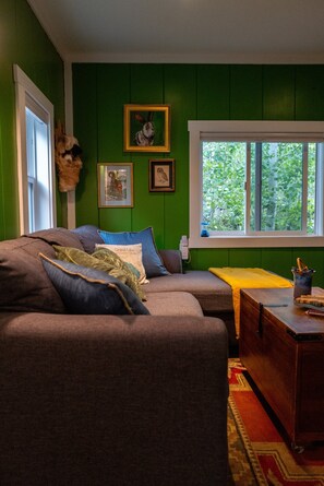 Smart TV, DVD player, books, video library