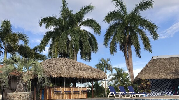 A swimming pool with lounge chairs and thatched-roof structures, surrounded by palm trees. - Accommodation Intimate setting (Corregimiento de Bejuco)