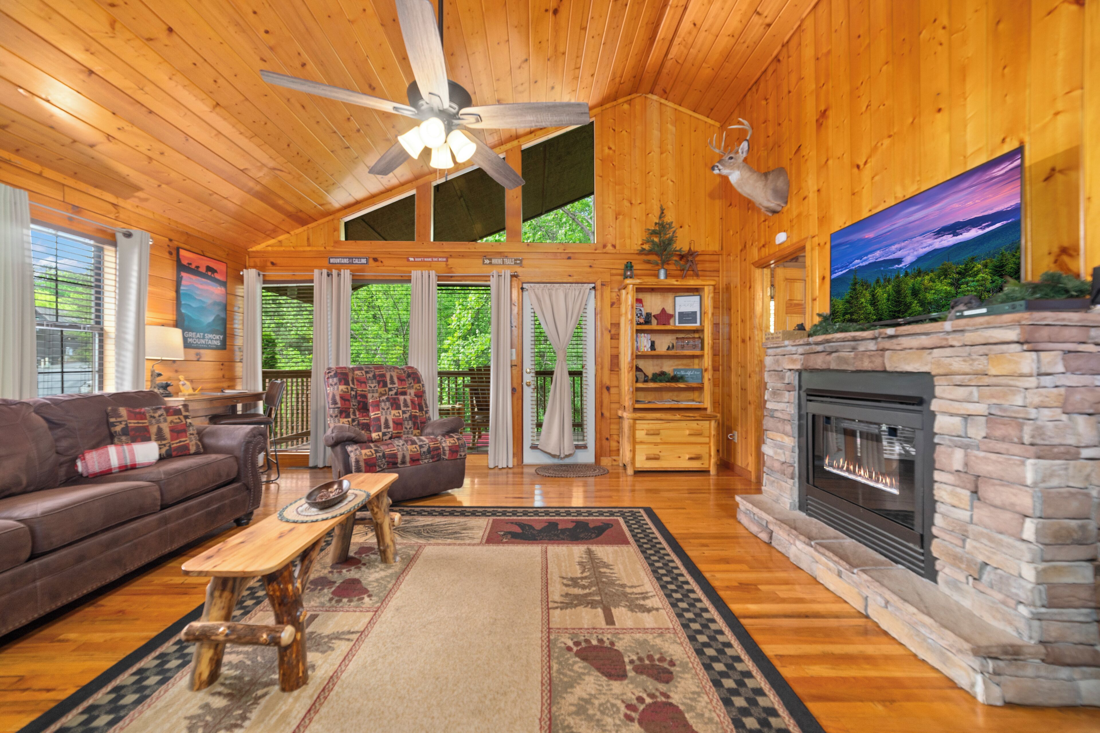 Smart TV, fireplace, video games, books