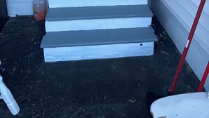 A set of white-painted exterior steps leading to a white door with a keypad lock. - Salty Air Suites, B:  Easy to walk in, One level, 3 beds, ocean views. (Old Orchard Beach)
