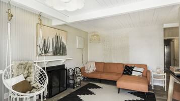 TV, fireplace, music library